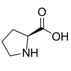 L-پرولین