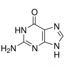 گوانین